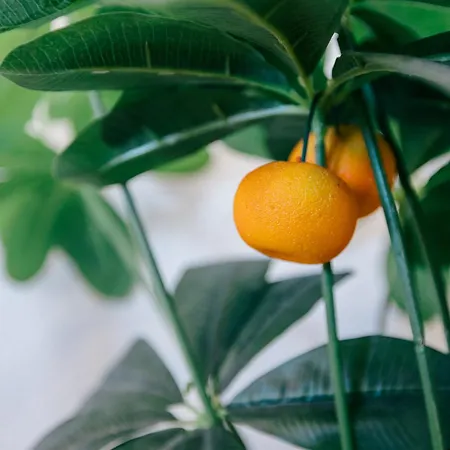 Tree House - Casa Laranjeira Quinta do Conde